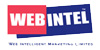 Web Intelligent Marketing Logo