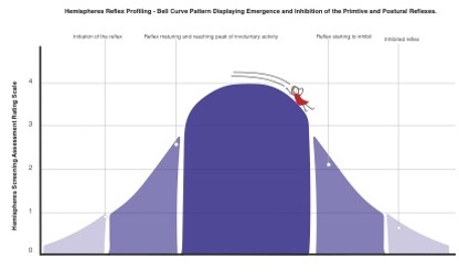 The Pattern of Reflex Development