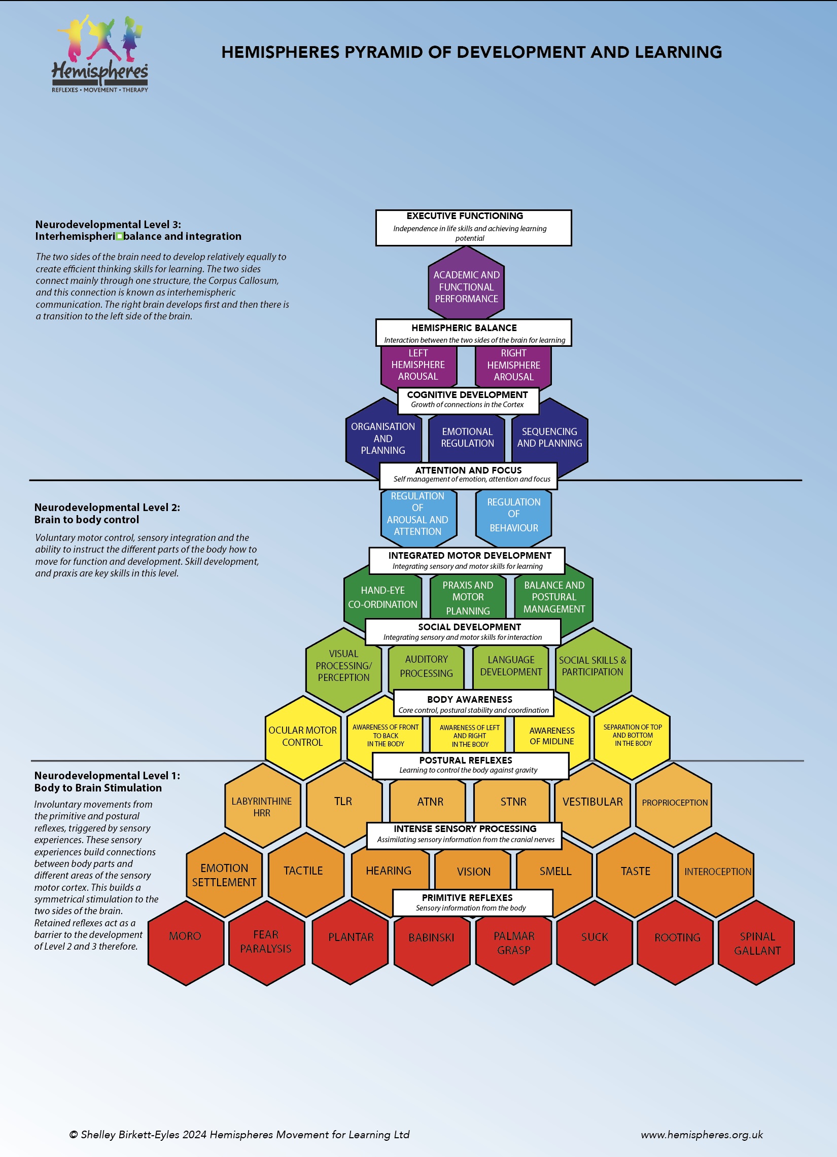 Hemispheres Pyramid of Development and Learning