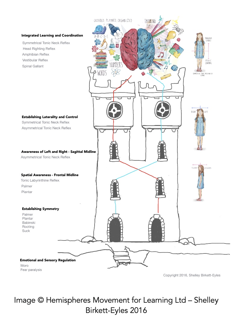 The Primitive and Postural Reflexes as defined by Hemispheres