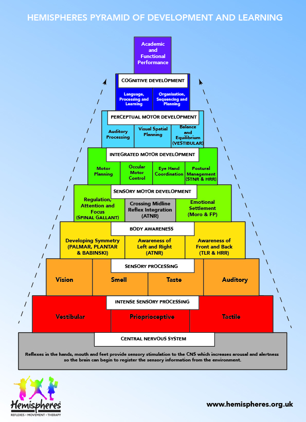 Hemispheres Pyramid of Development and Learning